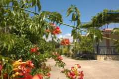 WP_20150622_005