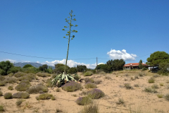 WP_20150622_012