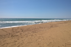WP_20150622_016