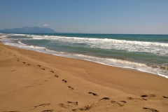 WP_20150622_017